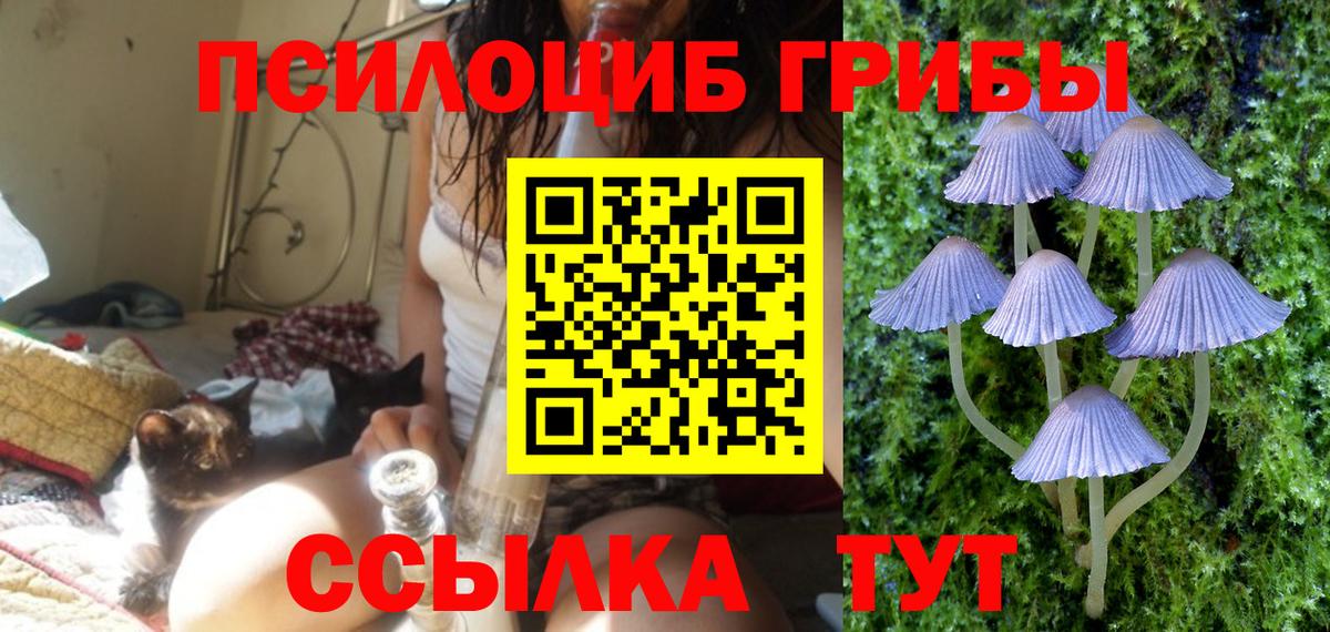 Галлюциногенные грибы мухоморы Асино